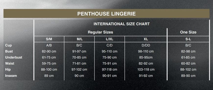 Боди Penthouse Hotter Than Hell S/L Black, непрозрачное, вырезы, декольте, имитация шнуровки, чулки SO6447 фото