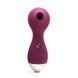 Вакуумний стимулятор KISTOY Polly Violet SO6543 фото 1