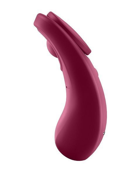 Стимулятор Sexy Secret Satisfyer 4003351 фото
