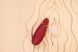 Стимулятор Womanizer Premium 2 Bordeaux WZ212SGB фото 9