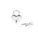 Замочок-сердечко Liebe Seele Heart Shape Padlock Silver (2 шт), універсальний SX1679 фото 1