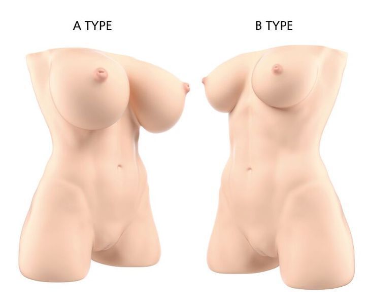 Мастурбатор-торс Naked Factory JESSICA A TYPE, большая грудь, очень реалистичный, сквозной SX3483 фото
